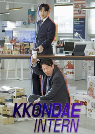 Kkondae Intern Season 1 Hindi Dubbed 480p 720p 1080p All Episode