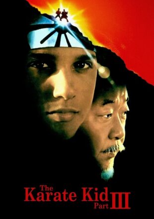 The Karate Kid Part III 1989 Dual Audio Hindi-English 480p 720p 1080p