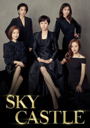 SKY Castle Season 1 Hindi Dubbed 480p 720p 1080p All Episode