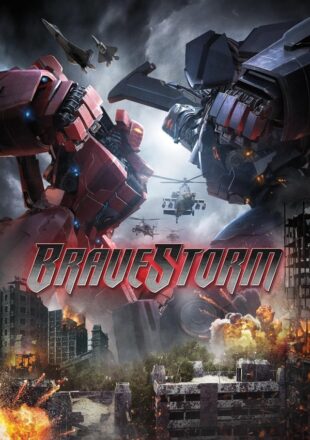 BraveStorm 2017 Dual Audio Hindi-English 480p 720p 1080p