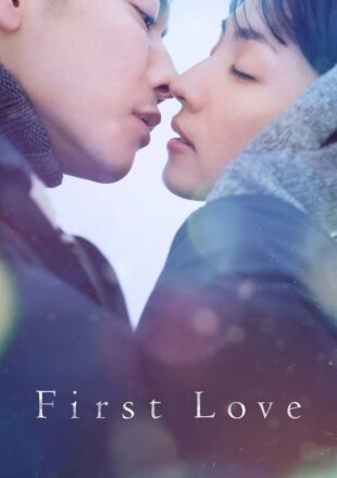 First Love Season 1 Dual Audio Hindi-English 480p 720p 1080p