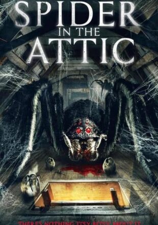 Spider in the Attic 2021 Dual Audio Hindi-English 480p 720p