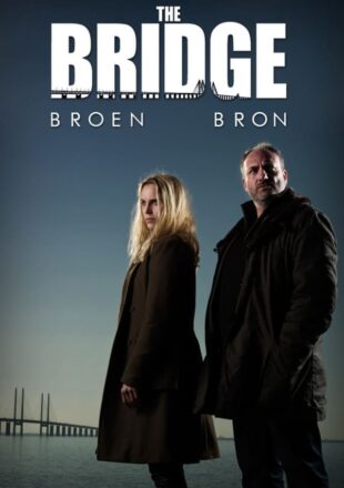 The Bridge Season 1-4 Dual Audio Hindi-English 480p 720p 1080p