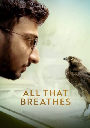 All That Breathes 2022 Dual Audio Hindi-English 480p 720p 1080p