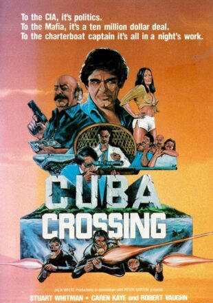 Cuba Crossing 1980 Dual Audio Hindi-English 480p 720p