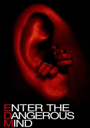 Enter the Dangerous Mind 2013 Dual Audio Hindi-English 480p 720p 1080p