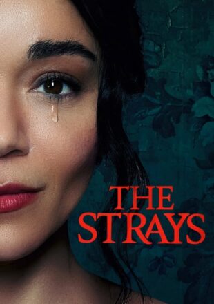 The Strays 2023 Dual Audio Hindi-English 480p 720p 1080p