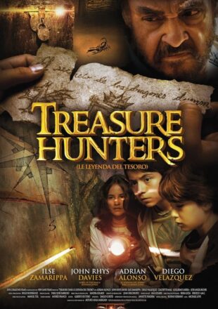 Treasure Hunters 2011 Dual Audio Hindi-English 480p 720p