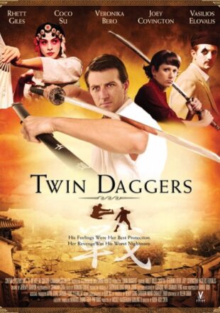 Twin Daggers 2008 Dual Audio Hindi-English 480p 720p Bluray