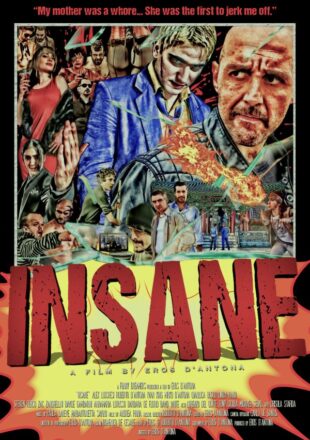 Insane 2015 Dual Audio Hindi-English 480p 720p