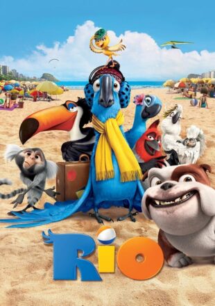 Rio 2011 Dual Audio Hindi-English 480p 720p 1080p