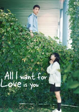 All I Want for Love Is You Season 1 Hindi Dubbed All Episode