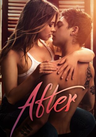 After 2019 Dual Audio Hindi-English 480p 720p 1080p