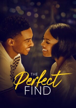 The Perfect Find 2023 Dual Audio Hindi-English 480p 720p 1080p