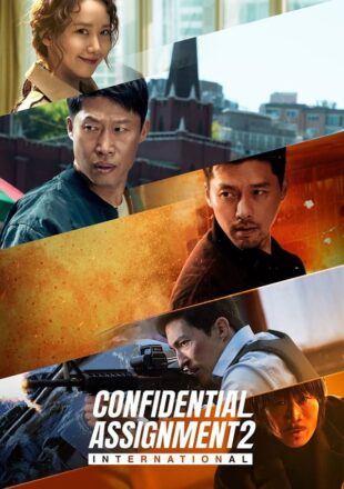 Confidential Assignment 2: International 2022 Dual Audio Hindi-Korean