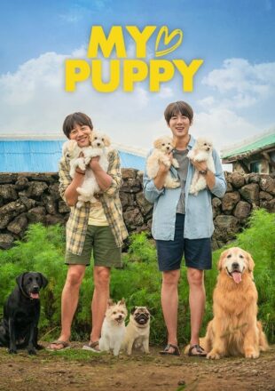 My Heart Puppy 2023 Korean With English Subtitle 480p 720p 1080p