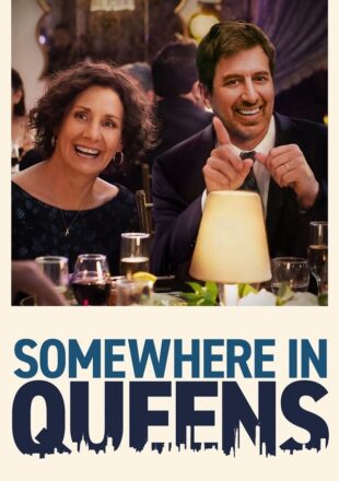 Somewhere in Queens 2022 Dual Audio Hindi-English 480p 720p 1080p