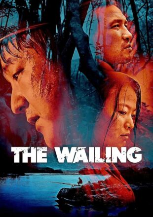 The Wailing 2016 Dual Audio Hindi-Korean 480p 720p 1080p