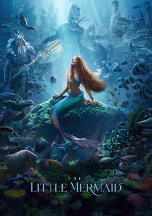 The Little Mermaid 2023 Dual Audio Hindi-English 480p 720p 1080p