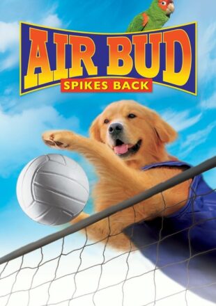 Air Bud: Spikes Back 2003 Dual Audio Hindi English 480p 720p 1080p