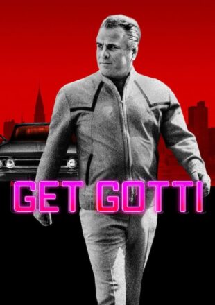 Get Gotti Season 1 Dual Audio Hindi-English 720p 1080p All Episode