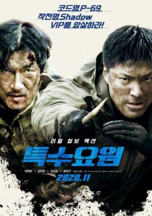 Special Agent 2020 Dual Audio Hindi-Korean 480p 720p 1080p