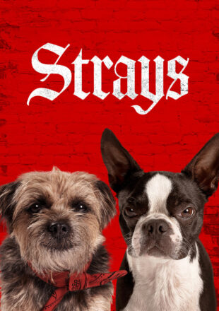 Strays 2023 Dual Audio Hindi-English 480p 720p 1080p