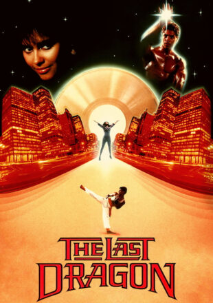 The Last Dragon 1985 Dual Audio Hindi-Korean 480p 720p 1080p