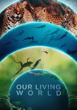 Our Living World Season 1 Dual Audio Hindi-English 720p 1080p All Episode