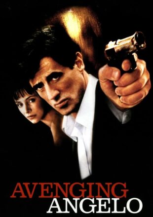 Avenging Angelo 2002 Dual Audio Hindi-English 480p 720p 1080p