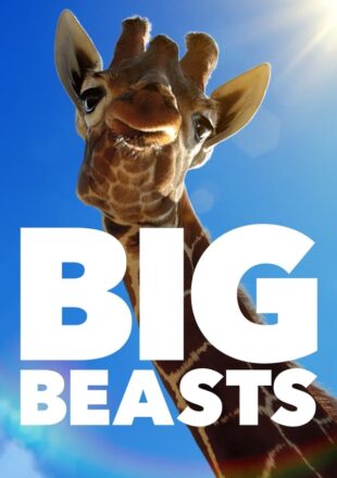 Big Beasts Season 1 English With Subtitle 720p 1080p All Episode