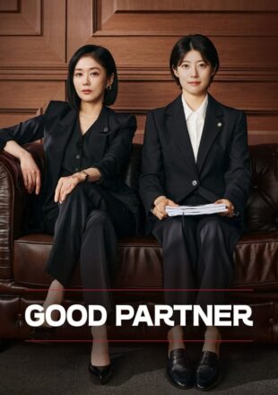 Good Partner Season 1 Korean With English Subtitle 720p 1080p S01E11 Added