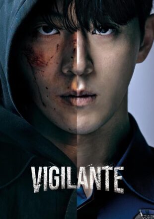 Vigilante Season 1 Dual Audio English-Korean 720p 1080p All Episode