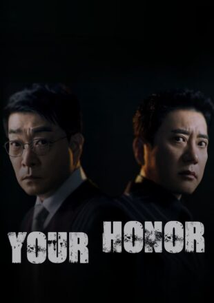 Your Honor Season 1 Korean With English Subtitle 720p 1080p S01E06 Added