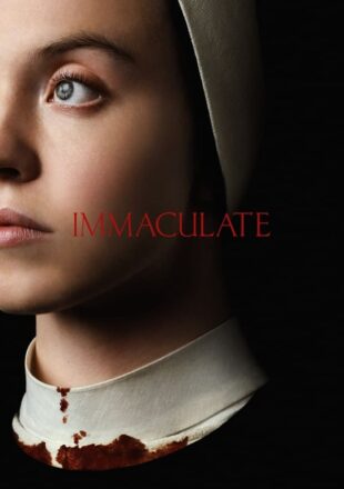 Immaculate 2024 Dual Audio Hindi-English 480p 720p 1080p