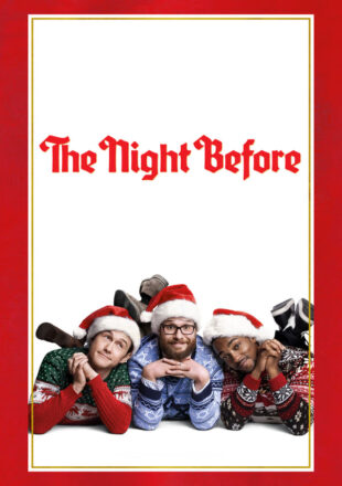 The Night Before 2015 Dual Audio Hindi-English 480p 720p 1080p