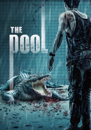 The Pool 2018 Dual Audio Hindi-Thai 480p 720p 1080p