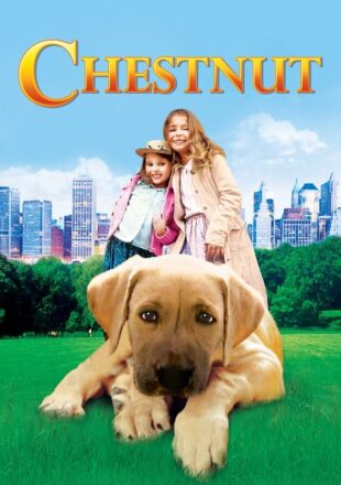 Chestnut: Hero of Central Park 2004 Dual Audio Hindi-English 480p 720p 1080p