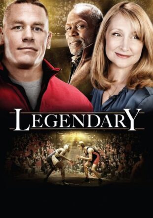 Legendary 2010 Dual Audio Hindi-English 480p 720p 1080p